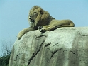 Alex_DZoo_Safari-I (43)